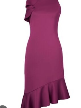 Banana Republic Magenta Ruffle Hem Midi Dress Size 2